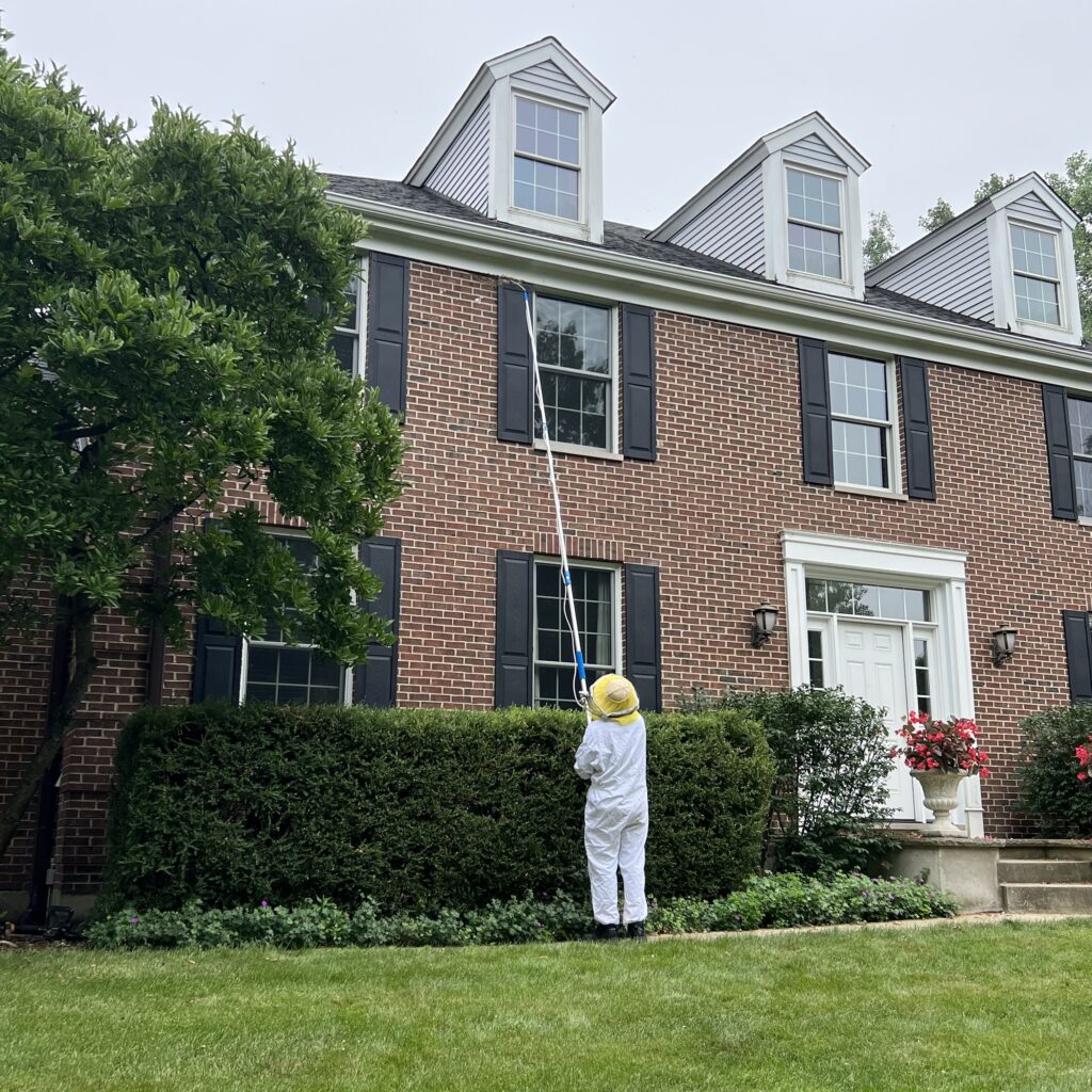 
<span>Lake Cook Pest Control</span>
