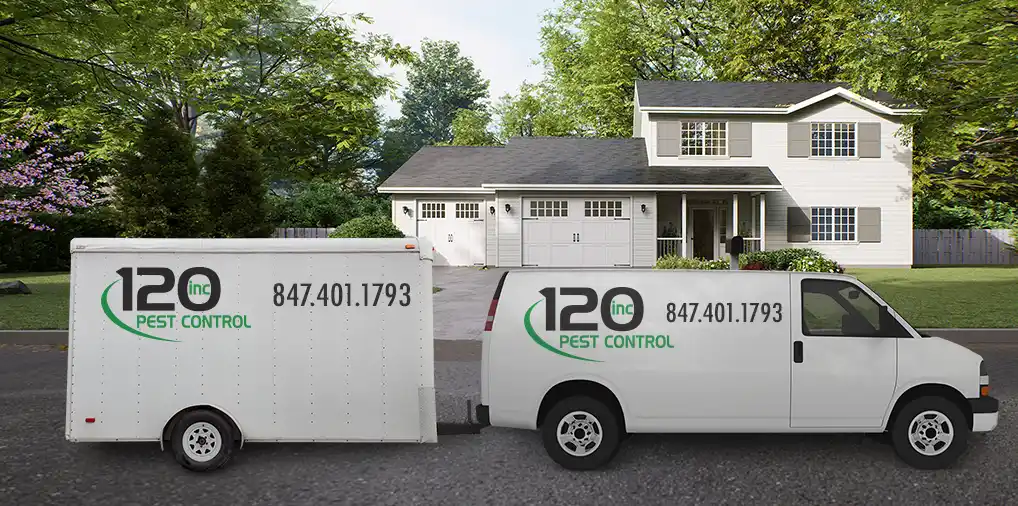 
<span>One Twenty Inc</span>
