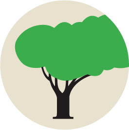 
<span>SavATree</span>
