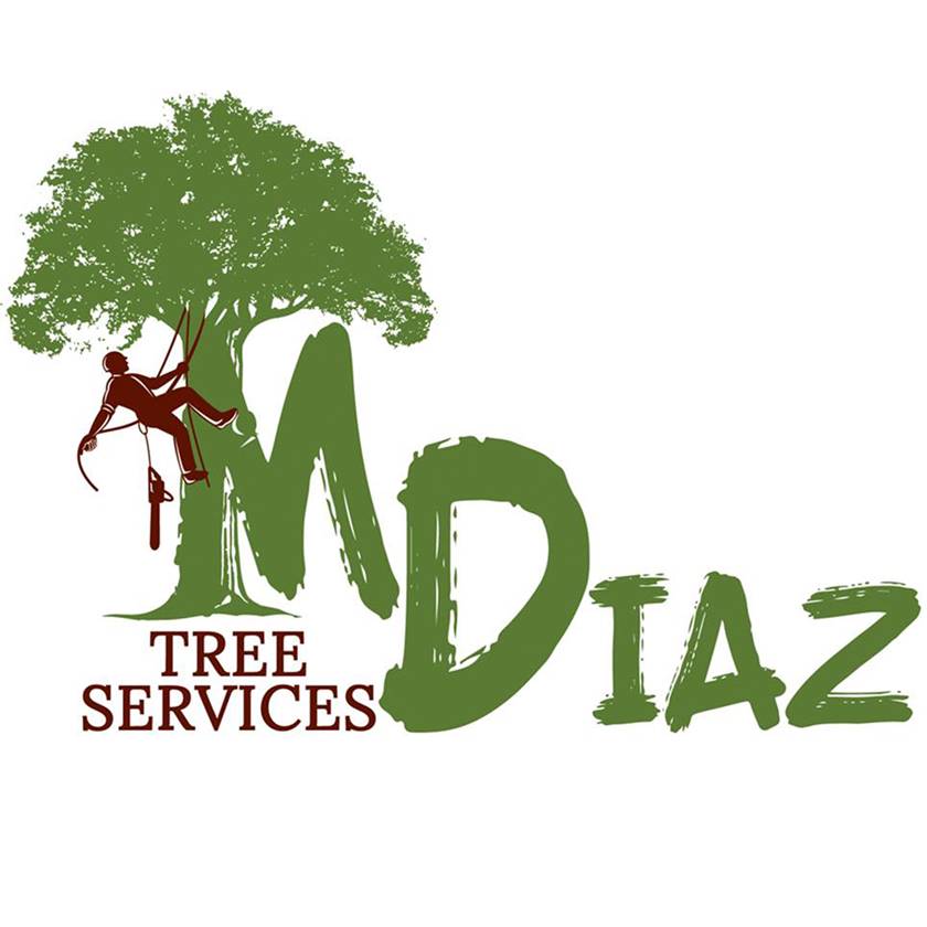 
<span>MDiaz Tree Services</span>
