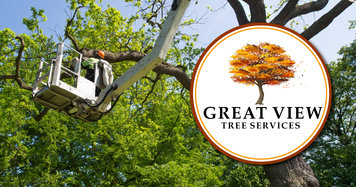 
<span>Great View Tree Service</span>
