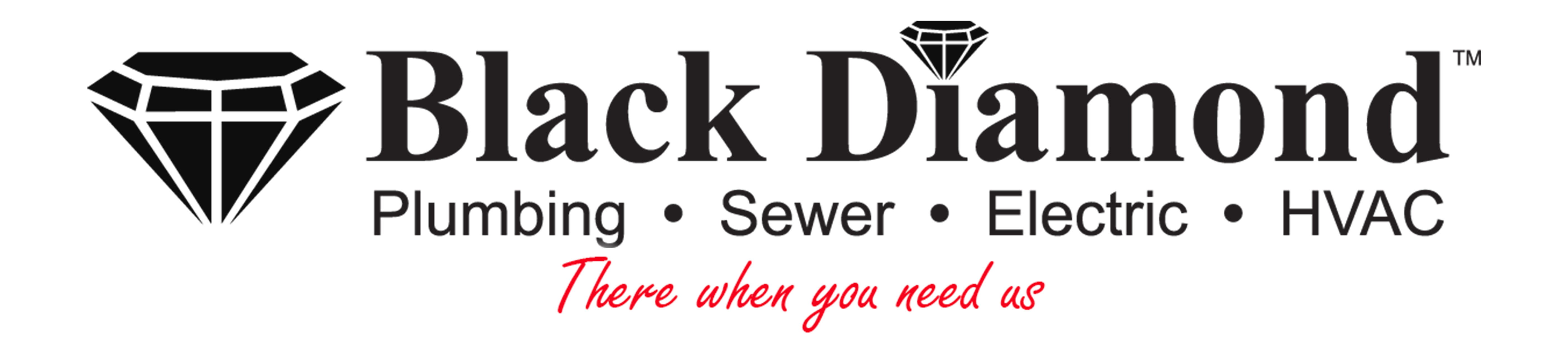 
<span>Black Diamond Plumbing & Mechanical</span>
