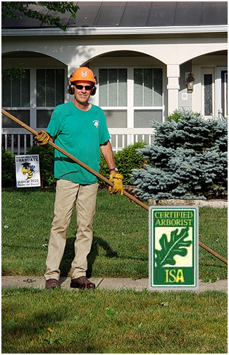 
<span>The Branch Office Tree Service</span>
