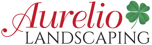 
<span>Aurelio Landscaping and Pavers of Highland Park</span>
