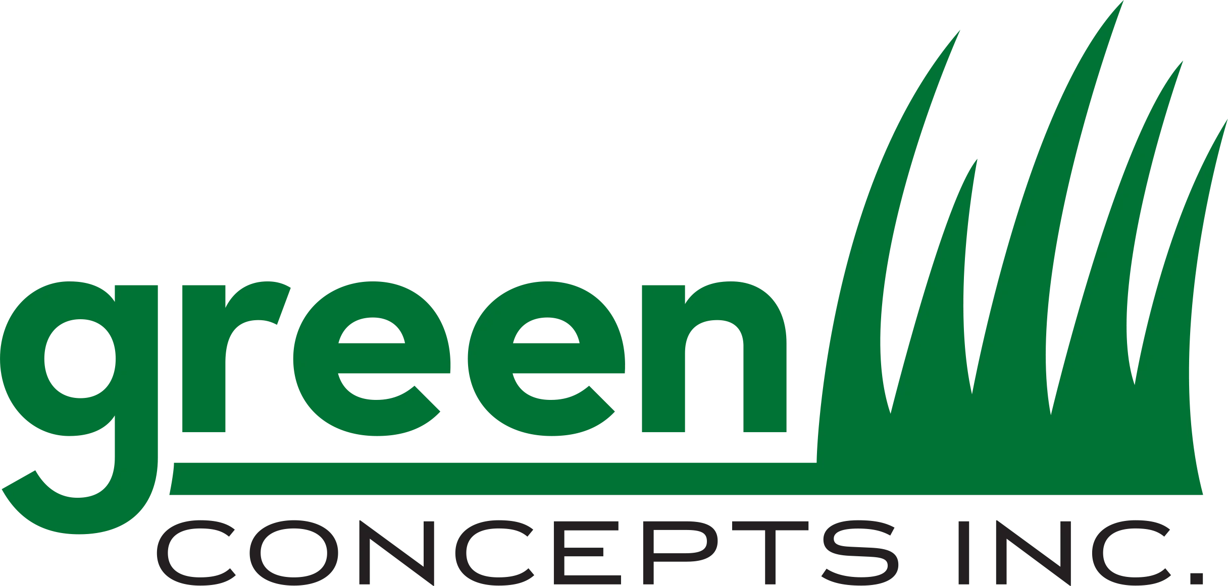 
<span>Green Concepts Inc</span>
